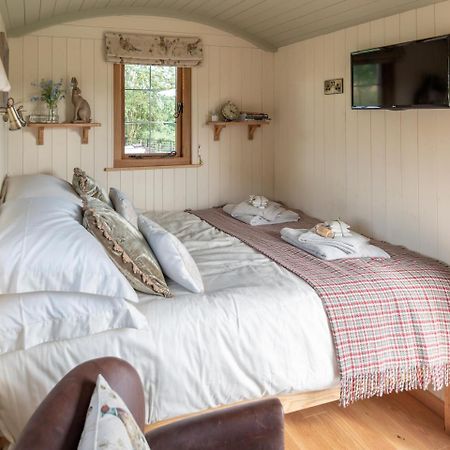 Llanbadarn Fynydd Padarn'S Hut 빌라 외부 사진